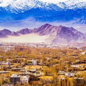 leh-2.webp