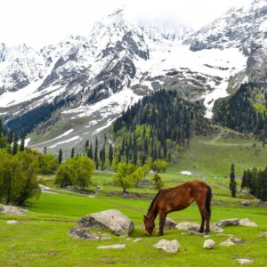 sonmarg