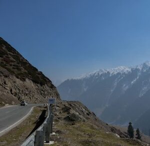 Image ref 119218711. Copyright Shutterstock No reproduction without permission. See www.shutterstock.com/license for more information.