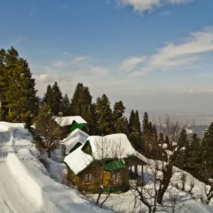 Patnitop2