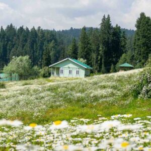 PICNIC SPOTS - TRAVELOGEAR