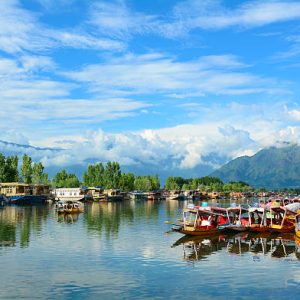 Srinagar, India - July 23, 2015: Many traditional boats waiting for tourists in the Dal lake of Srinagar, Jammu and Kashmir, India. Dal lake is integral to tourism and recreation in Kashmir.